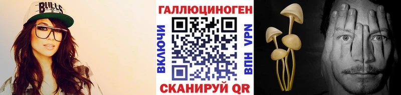 Псилоцибиновые грибы Psilocybine cubensis  blacksprut зеркало  Юрга  купить наркоту 