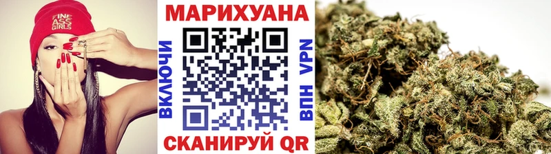 Конопля план  Юрга 